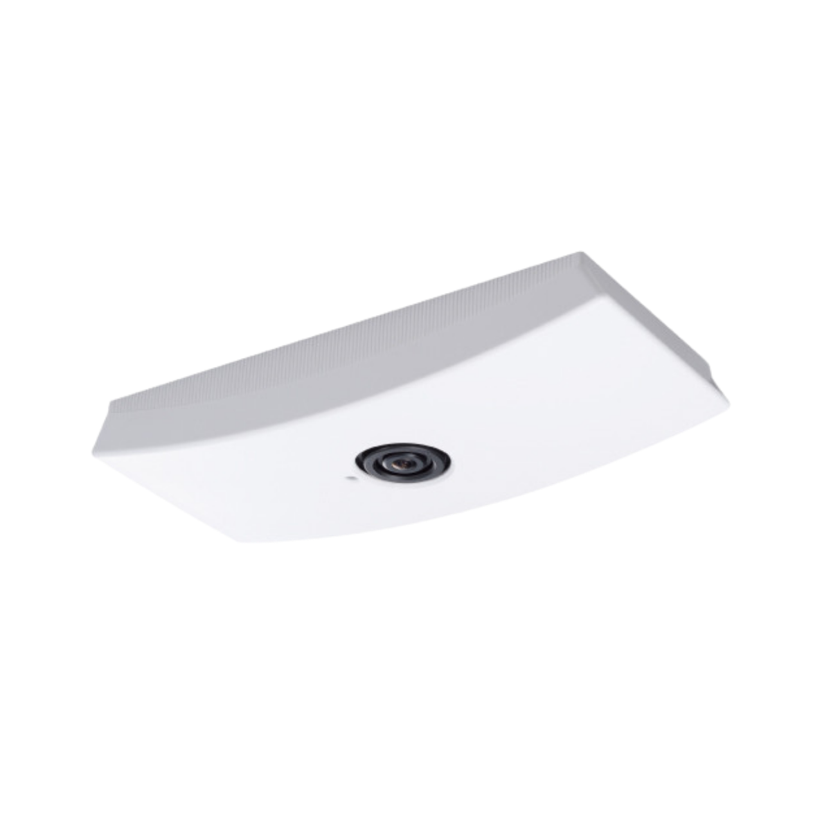 A10050169